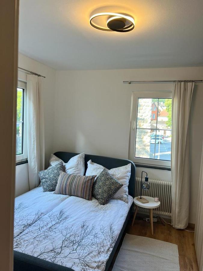 Moderne Ferienwohnung Nahe Zentrum Waidhofen/Ybbs Екстер'єр фото